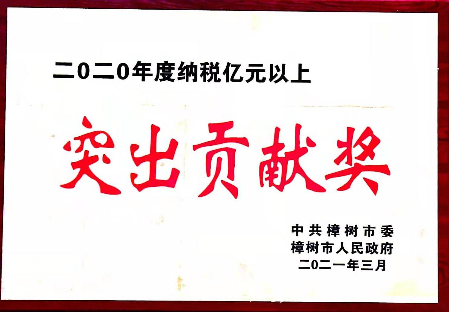 2020年度納稅億元以上 突出貢獻獎